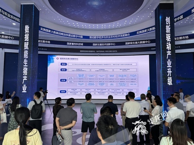 向“新”而行 重慶信息技術咨詢服務點燃經濟發展新引擎